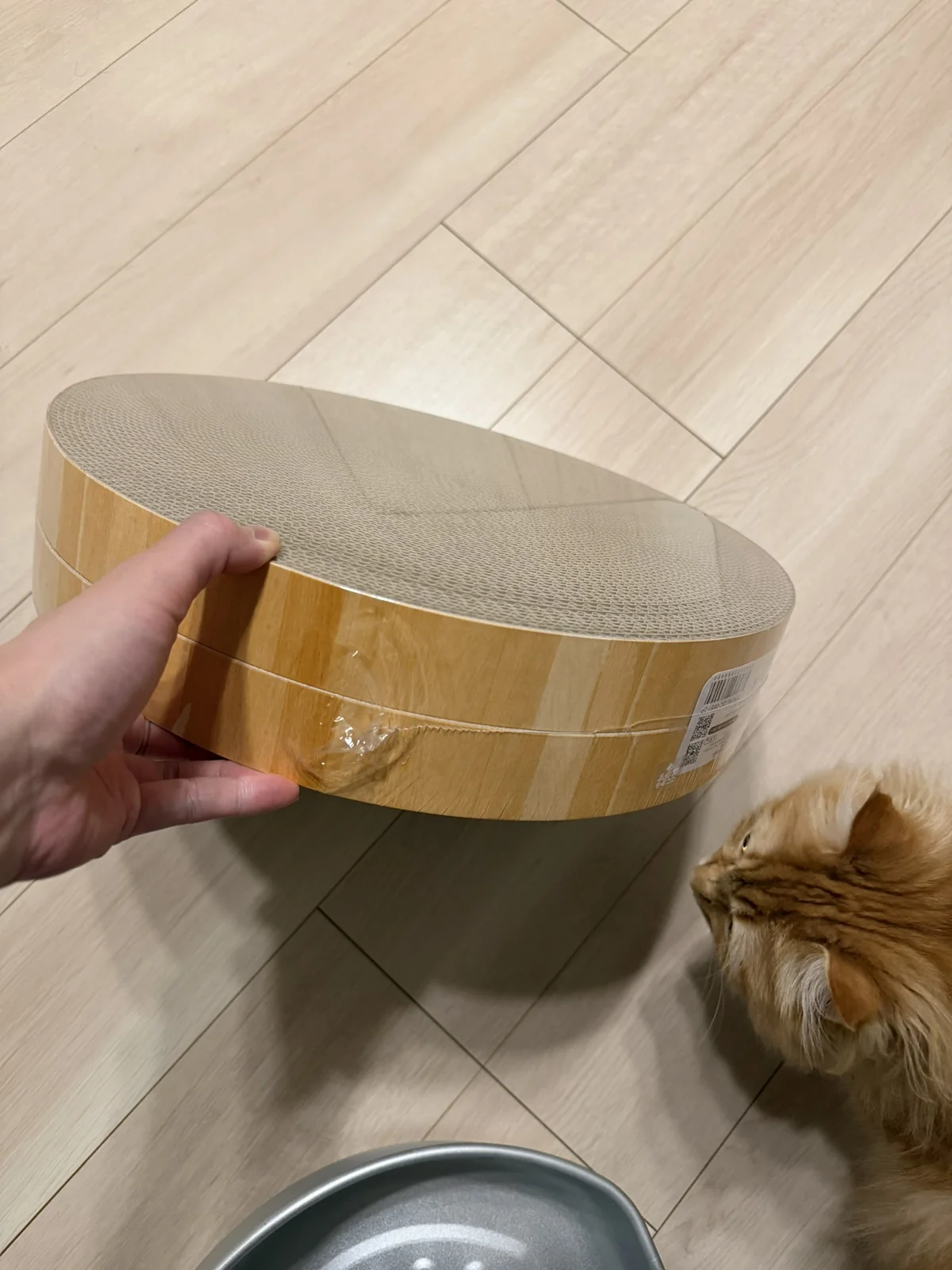 届いた猫壱バリバリボウルの替え芯(段ボール部分)