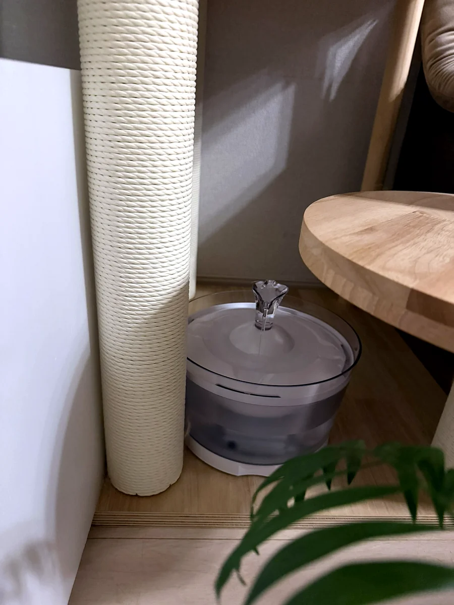 爪研ぎの横に置かれた自動給水機